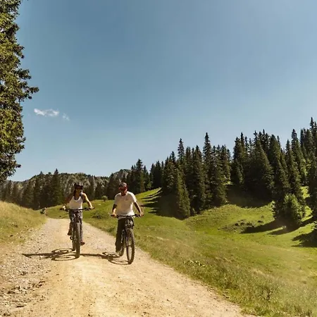 Yeti Yt17b6 Mountain & Nature 4 Pers Apartment Chatel