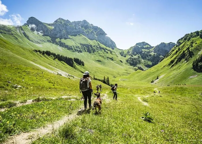 Yeti Yt17b6 Mountain & Nature 4 Pers Lägenhet Châtel