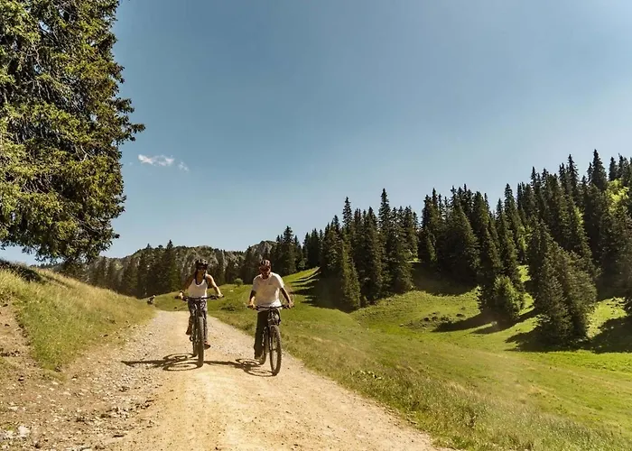 Yeti Yt17b6 Mountain & Nature 4 Pers Lägenhet Châtel